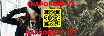 гидропоника Пенза