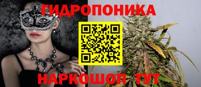 гидропоника Пенза