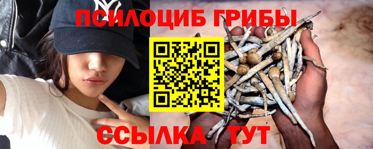 Галлюциногенные грибы Magic Shrooms  Галлюциногенные грибы Psilocybe  Вход с VPN  купить   Туапсе 